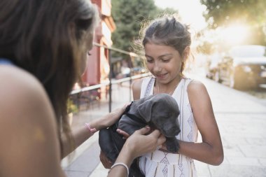 Bir kız ve annesi ile oynayan siyah köpek yavrusu