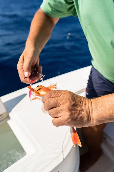 Homem Segurando Vara Pesca Aborda Perto Mão Com Carretel Giratório — Fotografia de Stock