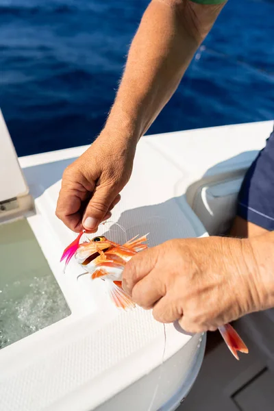 Man Holding Fishing Rod Tackles Close Hand Spinning Reel Fisherman — Stock Photo, Image