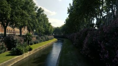 Şehir Nehri boyunca ağaçlar
