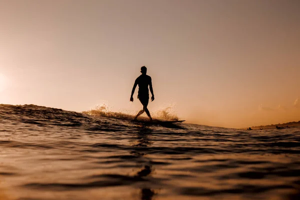 Male surfer on the board on waves