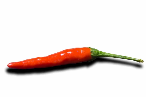 Hot Chilli Peppers Bílém Pozadí — Stock fotografie