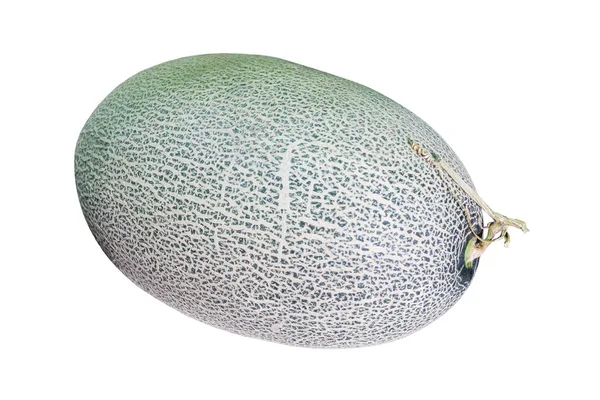 Velké Čerstvé Zelené Melounu Bílém Pozadí — Stock fotografie