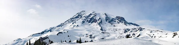 Mount Rainier Πανοραμική Θέα Σειρά Καταρρακτών Χιονισμένο Βουνό Στην Πολιτεία — Φωτογραφία Αρχείου