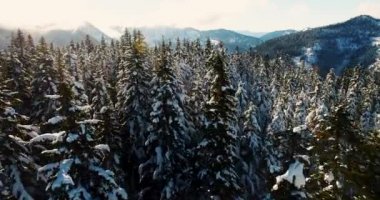 Aerial Flyover Stevens Pass Washington USA View of Ski Area Mountain Highway