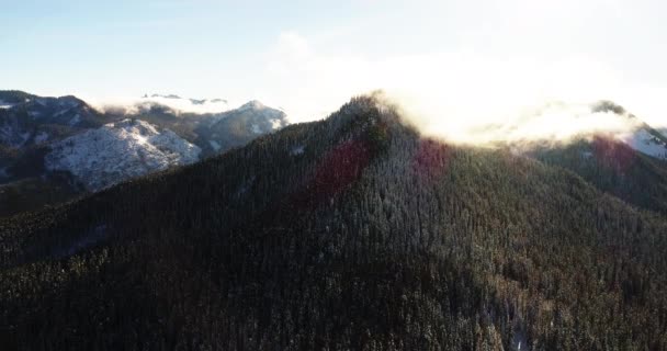 Luftaufnahme Der Winterlandschaft Die Temperaturen Von Heiß Nach Kalt Ändert — Stockvideo