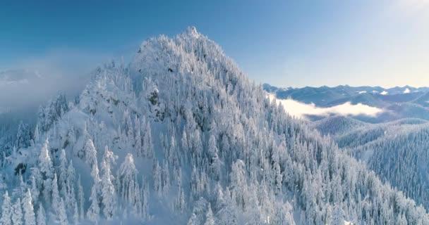 Aerial View Snow Gusts Blowing Winter Elements Top Peak Cascades — Stockvideo