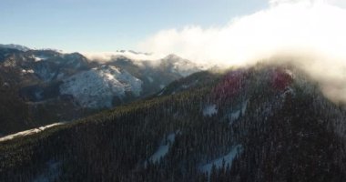 Uçan Helikopter görünümü karlı dağ aralığı güneş arkadan aydınlatmalı bulutlar Evergreen orman