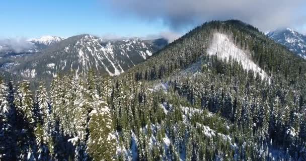 凍るような冬の森空撮冬景色無限緑とカスケード山脈 — ストック動画