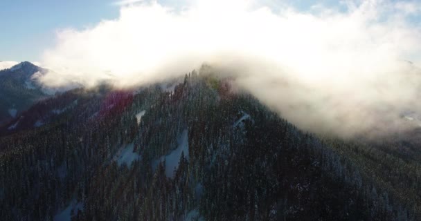 山頂蒸発雲ヘリコプター空中視点太平洋の北西の森林の谷の上の豪華な美しい照明 — ストック動画