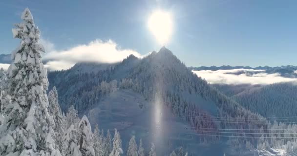 Glorieuze Verlichte Scène Van Winter Sneeuwt Vlokken Ontstaat Weer Cyclus — Stockvideo