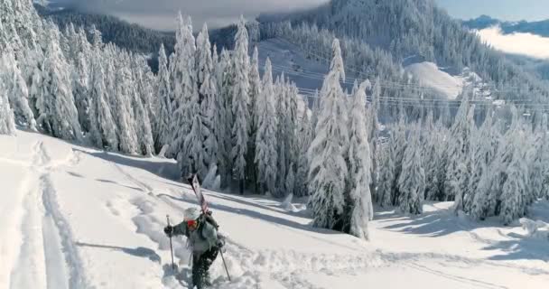 Happy Skier Cross Country Trekking Caminatas Por Ladera Montaña Buena — Vídeo de stock