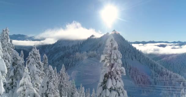 Magie Sonnenstrahl Beleuchtung Über Schneebedeckten Baum Berggipfel Flugwinkel — Stockvideo