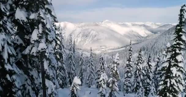 Letecký Pohled Stevens Pass Lyžařské Oblasti Státu Washington Usa Sněžení — Stock video