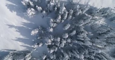 Üst aşağı hava dron açı kış kar manzara orman dağ aralığı görünümü