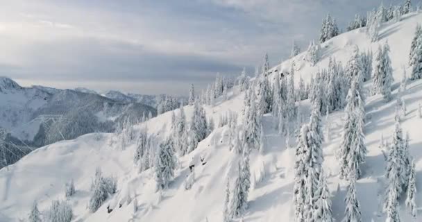 Stevens Pass Washington Aerial Mountain View Árboles Nevados Después Tormenta — Vídeos de Stock