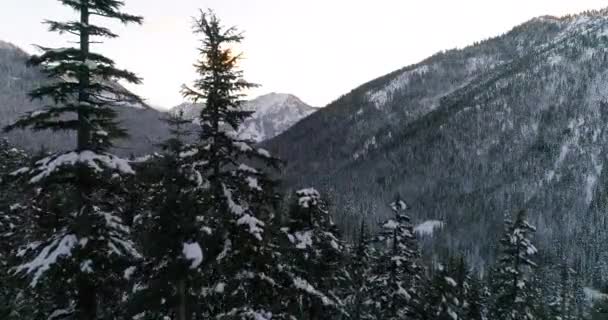 スティーブンズ ワシントン山高速道路上空表示冬美しい森の風景 — ストック動画