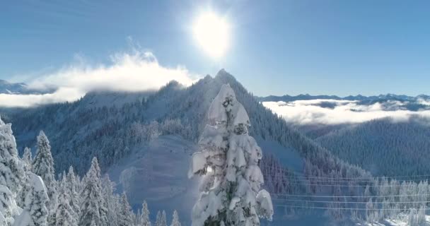 Sunny Mountain Top Ljusstrålar Snöar Snöflingor Knaprigt Vinterdag Titel Kopia — Stockvideo