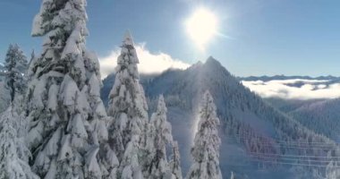 Gerçek dışı aydınlatma Sunbeam hava parçacıkları ışıklı ağacı kışın dağ manzarası içinde kar yağışı ile