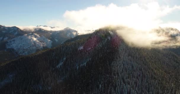 Winter Wolkenvorming Boven Forest Hills Bedekt Met Sneeuw Als Zon — Stockvideo