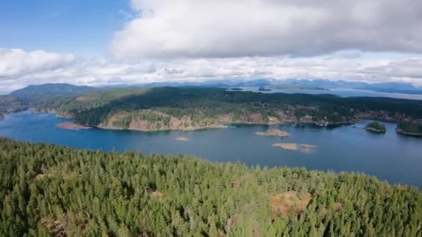 Letecké Letu Nad Ostrovem Kryté Strom Samostatný Pobřeží Vancouveru — Stock video