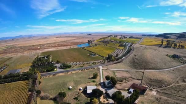 Aerial View Vineyards Sonoma County California — Stock Video