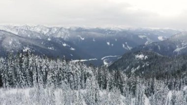 Snowy ağaçlar dağ geçidi sonra taze kar kış başlangıcı