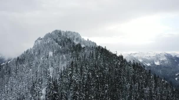 Schneebedeckter Berggipfel Bewaldete Winterszene Helle Beleuchtung Wolken Perfekt Für Den — Stockvideo