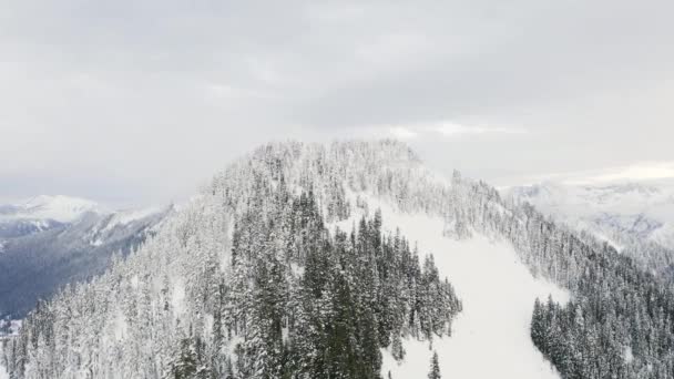 Снежный Дрон Вершине Горы Летающий Вокруг Peak Wilderness View — стоковое видео