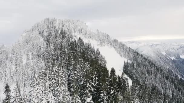 Mountain Peak Sneeuwt Weer Drone Een Baan Boom Tops Winterdag — Stockvideo