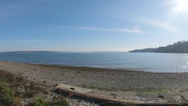 Bainbridge Island Gimbal Strzał Widok Plaży Patrząc Kierunku Downtown Seattle — Wideo stockowe