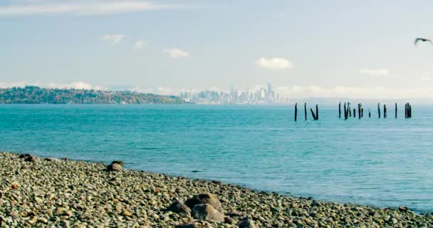 ピュー ジェット サウンドでベイン ブリッジ島ビーチを飛んでからシアトルのスカイライン ビュー — ストック動画