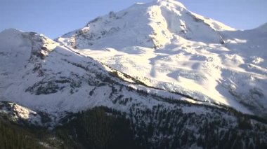 Mount Baker orman havadan görünümü güneşli kış günü yukarıda