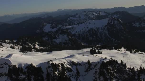 Luchtfoto Vlucht Van Het Winterse Landschap Van Sneeuw — Stockvideo