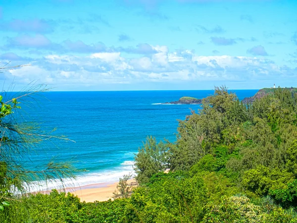 フォレスト見落とすの上から秘密のビーチ カウアイ島ハワイ米国ビュー — ストック写真