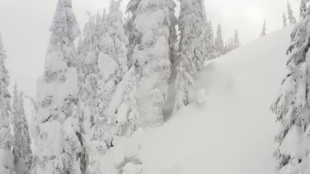 Árboles Invierno Nevados Congelados Aerial Drone Flyover Cold Weather Example — Vídeos de Stock