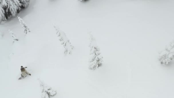 木を駆け抜けスノーボーダー パウダー スノーボード トラックに続く冬の雪の日空中ドローン角度 — ストック動画