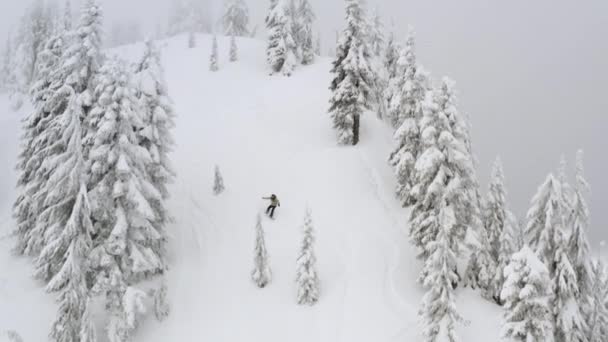 Snowboard Proszku Śniegiem Stoku Antenowe Drone Kąt Powyżej Rider Rzeźba — Wideo stockowe