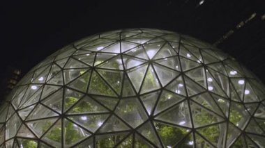 Seattle, Washington/ABD - Ocak 2019: Amazon küreler ve cep telefonu kamera önünde ünlü Simgesel Yapı ile bir Selfie alan gece insanlar karargahında kapat