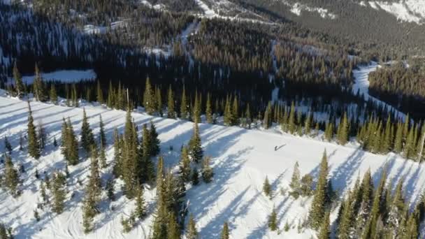 Σκι Idaho Στο Σβάιτσερ Βουνού Εναέρια Άποψη Sunny Απότομες Χιόνι — Αρχείο Βίντεο