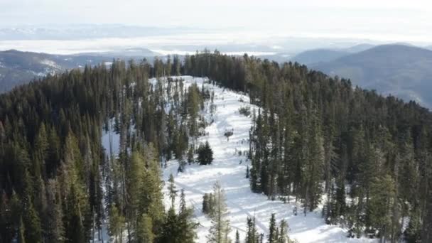 コルヴィル国立森林のスティーブンス郡ワシントン冬雪の日当たりの良い日空中 — ストック動画