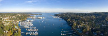 Bainbridge Island Mount Rainier Seattle görünümünü panoramik hava kuşlar göz