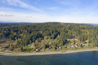 Bainbridge Island hava kuşlar plaj Orman dağlarındaki görünümü göz