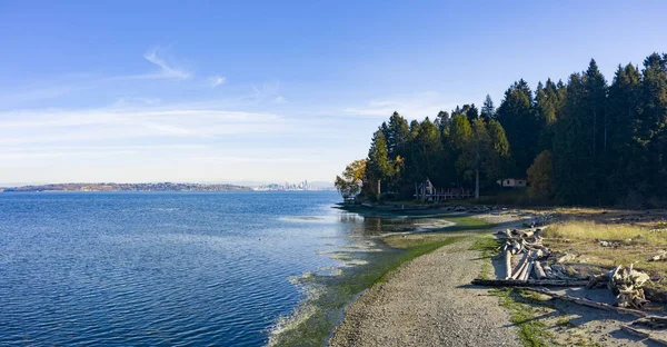 Bainbridge Island Driftwood Loguje Beach Zobacz Seattle Blue Ocean Wody — Zdjęcie stockowe