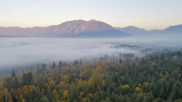 Snoqualmie Valley, Washington podzim Tichomoří severozápadní Les La — Stock fotografie