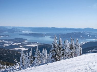 Schweitzer Mountain Frozen Trees üzerinde Lake pend Orielle Sandpoi