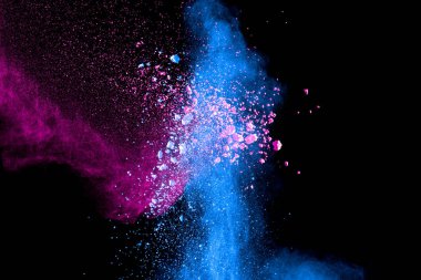 Siyah arka planda izole edilmiş pembe mavi renkli toz patlaması. Mavi pembe toz sıçraması..