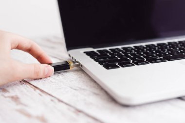 Kadın el dizüstü bilgisayara takarak usb flash girme