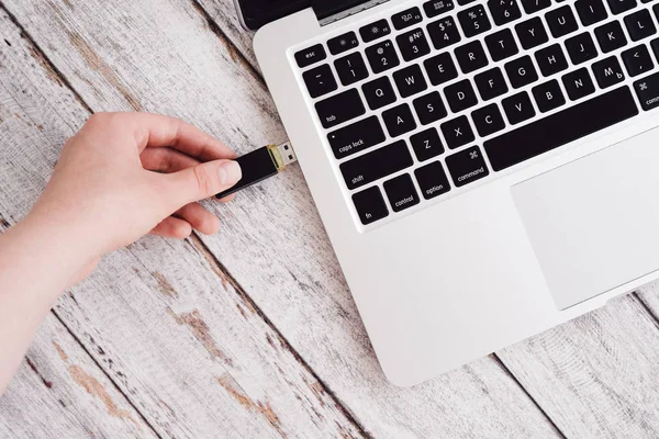 Kadın el dizüstü bilgisayara takarak usb flash girme