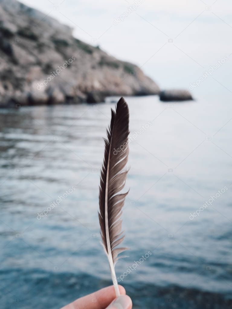 Single feather on sunset sea background